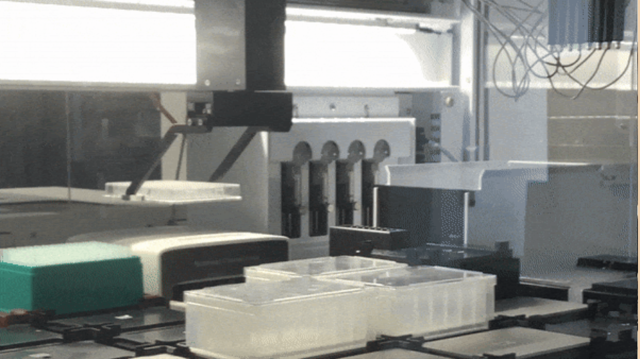 Video's: Interessante opnames 