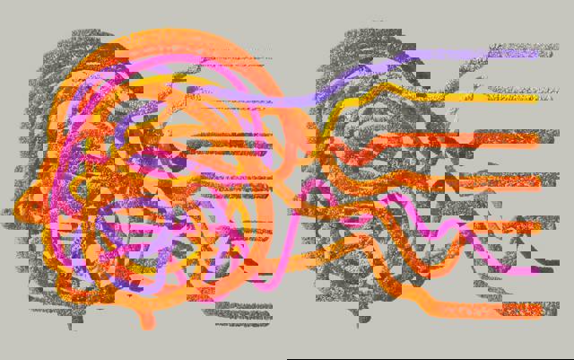 An empowering collaboration: Netherlands AI Coalition (NL AIC) partners with Women in AI